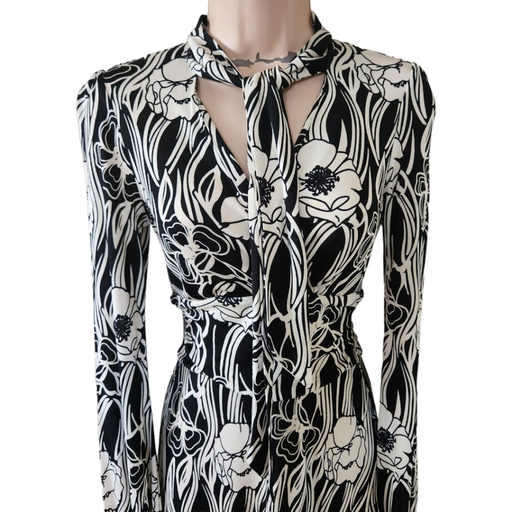 BANANA REPUBLIC Silk Poppy Print A-line Dress - Size XS - Picture 6 of 14